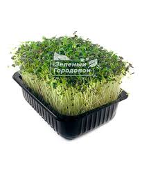 Лилейник желтого цвета: характеристики видов и рекомендации по выращиванию