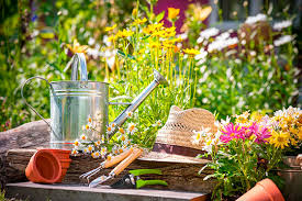 С чего начать благоустройство земельного участка