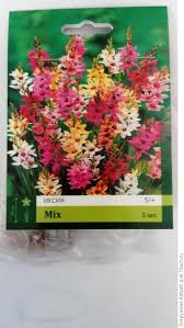 Ремонтантная клубника что это значит