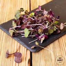 От чего зависит цвет скорлупы куриного яйца