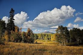 Ремонт дачи своими руками интересные идеи