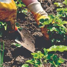 Уход за газоном ранней весной