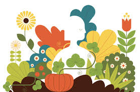 Вянет хризантема в горшке что делать