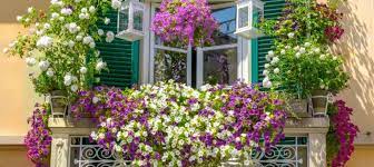 Сигаретный пепел как удобрение