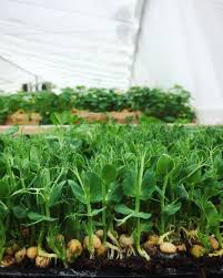 Почему с бойлера плохо течет горячая вода