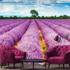 Розы повесили головы что делать