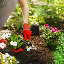 Устройство для полива цветов во время отпуска