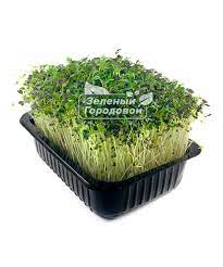 У поросенка посинели уши что делать