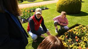 Когда и как правильно сажать тюльпаны?