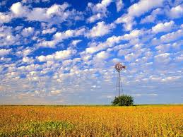 Компост в бочке 200 л на даче