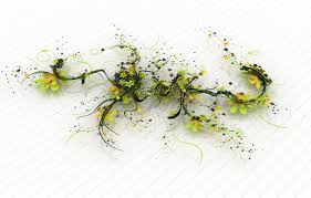 Лобелия ампельная: описание, виды и правила выращивания из семян