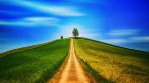 Что добавить в известь чтобы не мазалась