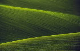 Обработка яблонь ранней весной