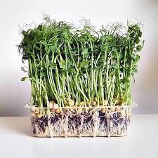 Почему не цветет женское счастье что делать