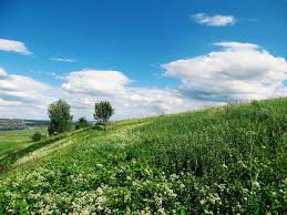 Как провести газ на дачный участок