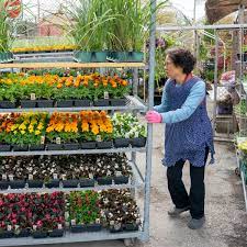 Какие цветы полезно держать в квартире