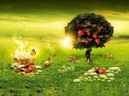 Как сохранить саженцы малины до весны