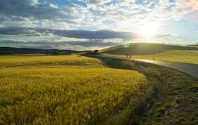 Система слива дождевой воды с крыши