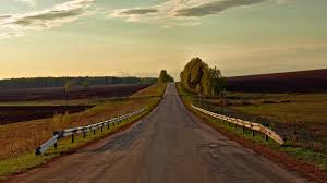 Высокие садовые цветы: разновидности и описание